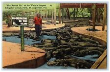 c1940s The Round Up Alligator And Ostrich Farm St. Augustine Florida FL Postcard picture