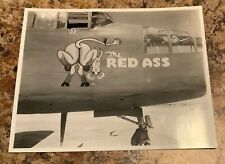 WWII Era Nose Art Original Photo Photograph The Red Ass Fighter Aircraft picture
