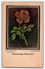 Moorhead Minnesota MN Postcard Deeus Puzzle Flower Colorchange 1907 Antique picture
