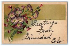 1907 Greetings From Trinidad Colorado CO Posted Embossed Set Of Flowers Postcard picture
