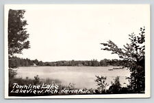 Postcard Michigan RPPC Lakeview MI Townline Lake Vintage Herron Photo Unposted  picture