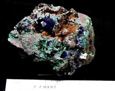 175g 70mm GEMMY Electric-blue Azurite w/ Malachite from Laos CMM770197 picture