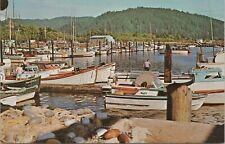 Transportation~Chinook Washington Boat Basin~Columbia River~Vintage Postcard picture