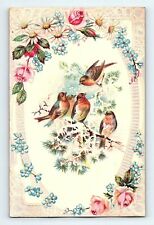 1880's-90's Embossed Victorian Card Colorful Wild Birds Tree Ice Winter P157 picture