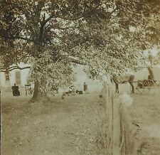Horse Wagon Rocking Chair Simple Country Life Antique Matted Photograph picture