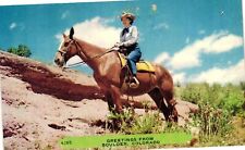 Vintage Postcard- 195. HORSE BOULDER COLORADO. UnPost 1960 picture