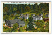 c1930's Lodge On Mount Le Conte Great Smoky Mountains National Park Postcard picture