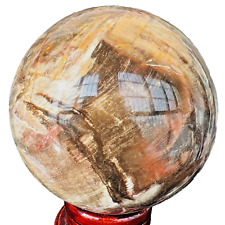 Natural Wood Fossil Decoration Polished Wood Grain Fossil Decor Crystal 3.55LB picture