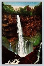 Kegon Waterfall in Nikko National Park Japan Vintage Postcard 0493 picture