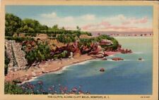 Newport RI- Rhode Island The Cliffs, Along Cliff Walk Vintage Linen Postcard picture