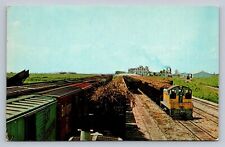 Postcard FL Clewiston Trainload of Sugarcane in Railway Sugar House Yard  C440 picture