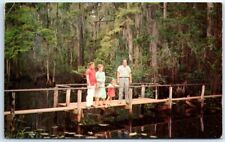 Postcard - Highlands Hammock State Park - Sebring, Florida picture