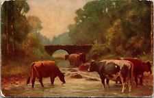 Dairy Cows Drinking From Stream By Bridge-Posted 1906?-Divided Back picture