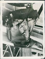1940 Robin Roosts Temporarily In Comfort On Bicycle Saddle Bag Animals 7X9 Photo picture