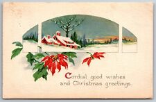 Christmas Window View Poinsettia 1921 St Paul Minnesota MN Gibson Art Postcard picture