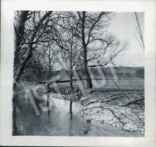 Vintage Riverside Treescape with Reflective Waters B&W Snapshot picture