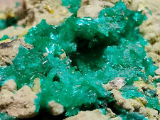 Dioptase, Mimetite crystals on matrix. N'tola Mine, Congo. 62 grams. Video picture