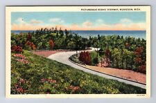 Muskegon MI-Michigan, General Greeting, Picturesque Scenic Hwy Vintage Postcard picture
