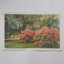 The Magnolia Gardens Charleston SC South Carolina Vintage Postcard Flower Floral picture