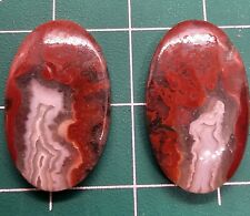 BEAUTIFUL colorful  Red Moss Agate Jewelry Cabochon Pair picture