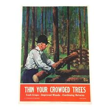 Adolph Treidler Original 1945 Forest Service Propaganda WWII Poster Thin Trees picture