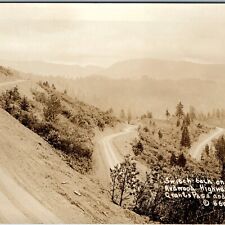 c1920s Grants Pass - Crescent City, OR RPPC Switchback Redwood Highway Tree A165 picture