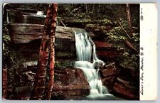 Hunter, New York NY - Lover's Glen - Waterfalls - Vintage Postcard - Posted 1908 picture