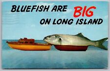 Bluefish Long Island New York Cancel Massapequa Park 1959 VTG WOB PM Postcard picture