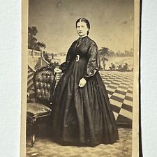 Antique CDV Photograph Beautiful Young Woman Civil War Era Reading PA Tax Stamp picture