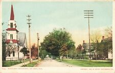 View on Woodland Boulevard, De Land, Florida FL - c1906 Vintage Postcard picture