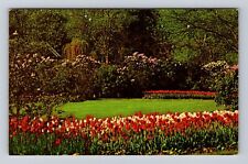 Lombard IL-Illinois, Lilacia Park, Flowers, Antique, Vintage Souvenir Postcard picture