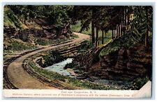 c1910's Mohican Canyon Occurred Deerslayers Cooperstown New York NY Postcard picture