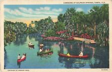 Tampa FL Florida, Canoeing at Sulphur Springs, Vintage Postcard picture