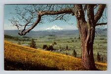 Mt Hood OR-Oregon, Landscape Mountain Area, Antique, Vintage Souvenir Postcard picture