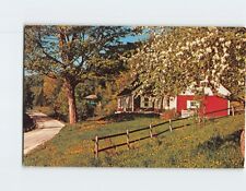 Postcard Spring Time Countryside Scene picture