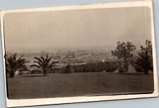 RPPC birds eye view of town with palm trees in front picture