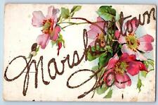 Marshalltown Iowa IA Postcard Embossed Flowers And Leaves Scene c1910's Antique picture