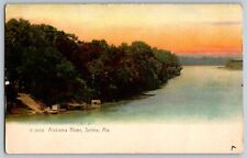 Selma, Alabama AL - General View of Alabama River - Vintage Postcard - Unposted picture
