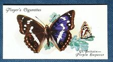 PURPLE EMPEROR  Butterfly  Vintage 1930's  Illustrated Card  RC05M picture