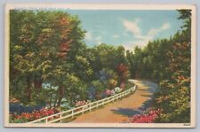 1938 Walnut Creek Drive Near Erie, Pennsylvania Vintage Linen Postcard picture