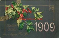 New Year, Winsch Year 1909 No WIN02-1, Holly & Berries, Best Wishes picture
