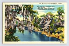 Postcard Florida Suwannee River Landscape 1940s Unposted Linen picture