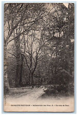c1910 Un Coin De Parc La Motte Beuvron Sanatorium Des Pins France Postcard picture