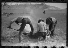 Quarter Circle U roundup,Montana,MT,Farm Security Administration,FSA,1939,57 picture