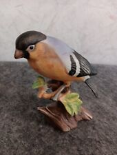 Beautiful Vintage 1979 Enseco Bull Finch Figurine No Chips Or Cracks.  picture