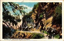 On Trail Mt Lowe Wilson California Ca Wob Note California Pm 1921 Postcard picture