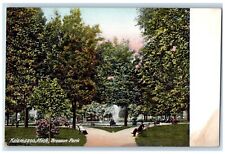 c1910 Fountain Chairs Bronson Park Kalamazoo Michigan MI Antique Posted Postcard picture