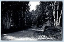 Waubun MN Postcard RPPC Photo Entrance To Lake View Resort Big Elbow Lake c1940s picture