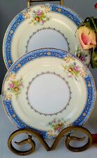 VINTAGE THE HINODE JAPAN X2 Set Porcelain Hand Painted BREAD & BUTTER PLATES. picture