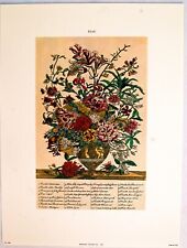 (9 x 12) Art Print FL106 Bernard Picture Co. Flowers of the Month - July picture